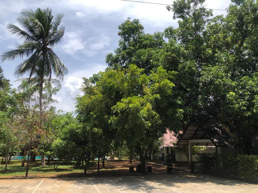 The Countryside Udawalawe Bed & Breakfast Exterior photo