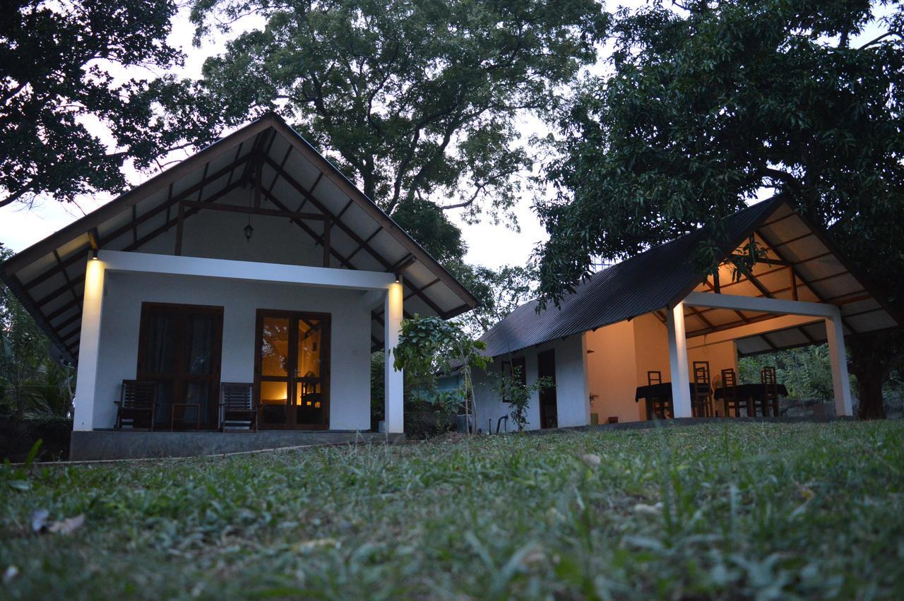 The Countryside Udawalawe Bed & Breakfast Exterior photo