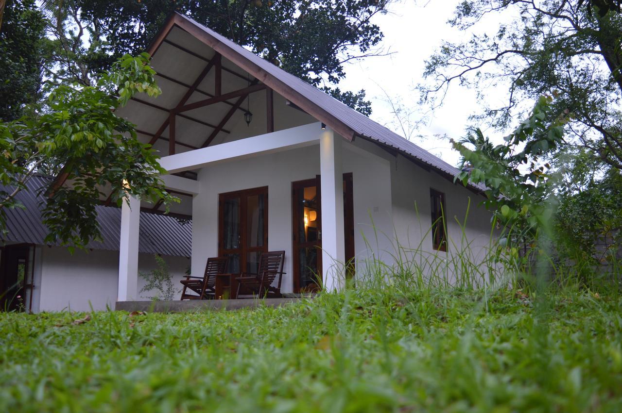 The Countryside Udawalawe Bed & Breakfast Exterior photo